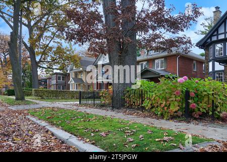 Tree lined residential street in autumn with leaves falling Stock Photo