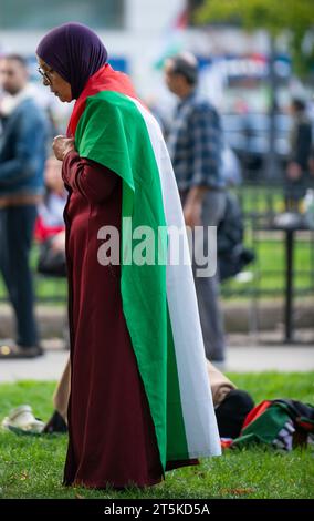 Pro-Palestinian demonstration rally  for Israel-Gaza cease-fire at Freedom Plaza. Washington DC. USA. November 4. 2023 Stock Photo