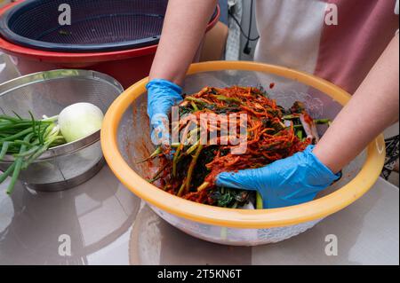 The process of making a traditional Korean dish, kimchi. A woman wearing gloves is preparing various ingredients needed for the kimchi. Stock Photo