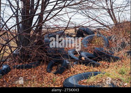 Pile of used old tyres among trees. Recycle pollution environment garbage problem Stock Photo