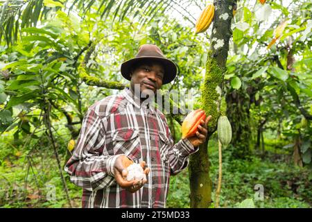 Proud farmer stands near the cocoa plant, displays cocoa beans in one hand and a pod in the other. Stock Photo