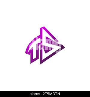 TS Premium emblem logo initial esport and gaming design concept Stock Vector