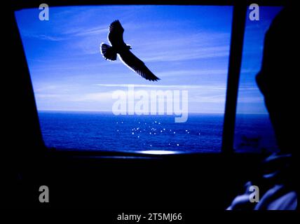 View out a car window of a flying bird silhouetted against a bright blue sky. Stock Photo