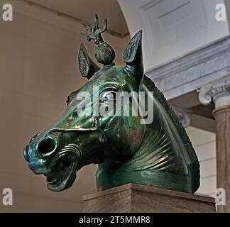 Horse Head of an Equestrian statue made of Bronze ( one of the horses that made up the team of four horses that pulled the monumental Quadrige ( chariot ) 1st Century AD                           National Archaeological Museum of Naples Italy. Stock Photo