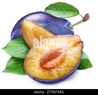 Ripe purple plums with leaves and plum slices isolated on white background. Stock Photo