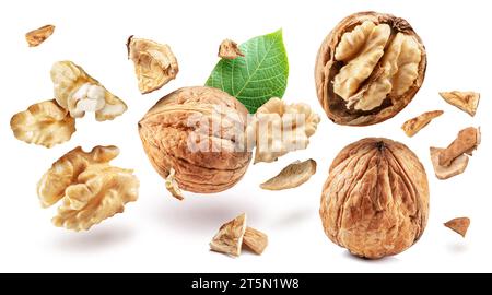 Whole walnuts and walnut kernels levitating in air on white background. Stock Photo