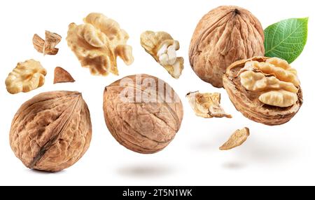 Whole walnuts and walnut kernels levitating in air on white background. Stock Photo