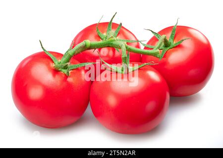 Tomato branch isolated on white background. Macro shot. Stock Photo