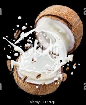 Coconut milk flying out from split coconut fruit on black background. File contains clipping paths. Stock Photo