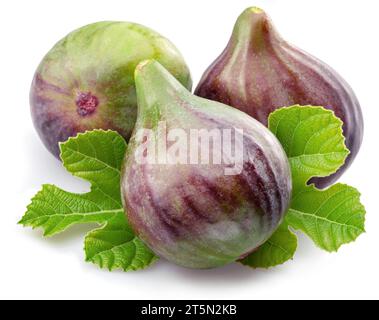 Fig fruits with fig leaves isolated on white background. Stock Photo