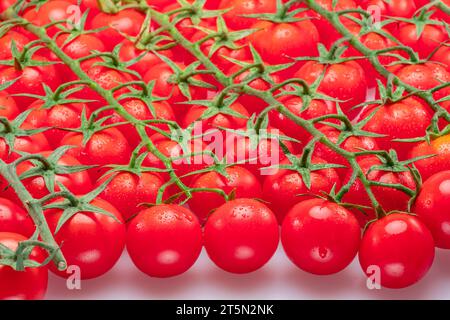 Lot of red cherry tomato branches covered with small water drops. Food background. Stock Photo