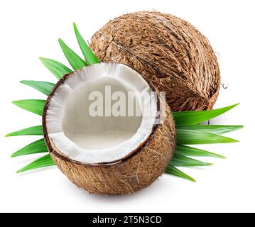Coconut milk in the half of coconut fruit isolated on white background. Stock Photo