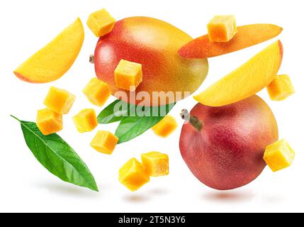 Mango fruit and mango slices flying isolated on white background. Stock Photo