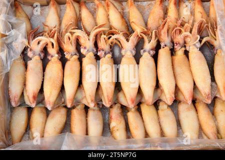 frozen inkfis in a market, closeup of photo Stock Photo