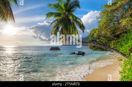 Sunset at exotic tropical beach and coconut palms on Seychelles. Summer vacation and tropical beach concept. Stock Photo