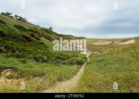 Trail over sand dunes on Great Island in Wellfleet under cloudy sky Stock Photo