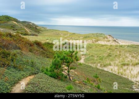 Trail over sand dunes on Great Island with Cape Cod Bay on horizon Stock Photo
