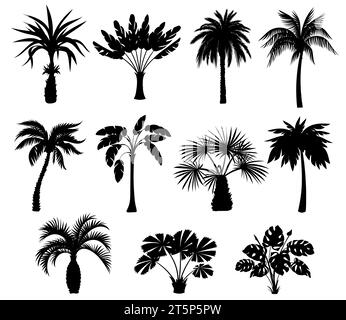 Black palm trees silhouettes. Tropical plants different types. Monochrome detailed shapes. Summer flora. Jungle coconut or banana. Monstera foliage Stock Vector