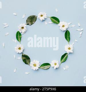 White flowers green leaves arranged circular shape blue background Stock Photo
