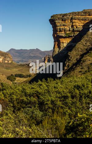 View of the Brandwag Butress, against a blue sky in the Golden Gate Highlands National Park of South Africa. Stock Photo