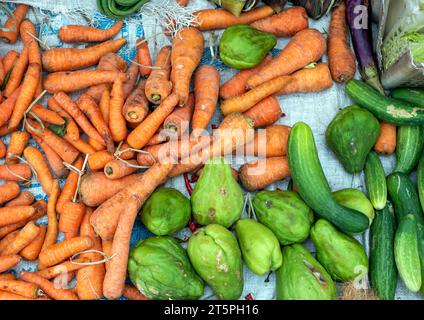 Chinese scarlet eggplant hi-res stock photography and images - Alamy