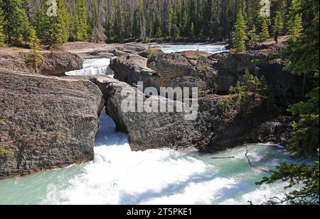 Rocks of natural bridge, Yoho NP, Canada Stock Photo