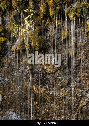 Water dripping down a rock face in Sooke Potholes Provincial Park in British Columbia, Canada. Stock Photo