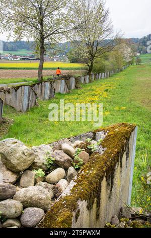 Ehemalige Panzersperre, aufgewertet zu einem Naturschutzgebiet und Grünkorridor Stock Photo