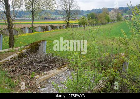 Ehemalige Panzersperre, aufgewertet zu einem Naturschutzgebiet und Grünkorridor Stock Photo