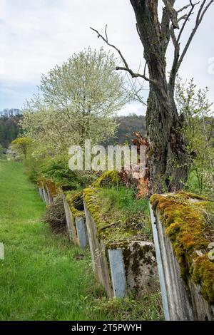 Ehemalige Panzersperre, aufgewertet zu einem Naturschutzgebiet und Grünkorridor Stock Photo