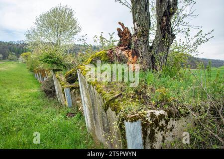 Ehemalige Panzersperre, aufgewertet zu einem Naturschutzgebiet und Grünkorridor Stock Photo