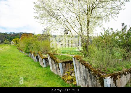 Ehemalige Panzersperre, aufgewertet zu einem Naturschutzgebiet und Grünkorridor Stock Photo