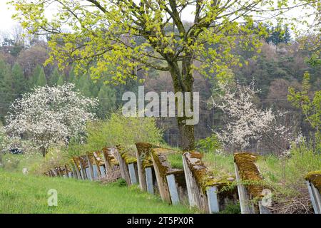 Ehemalige Panzersperre, aufgewertet zu einem Naturschutzgebiet und Grünkorridor Stock Photo