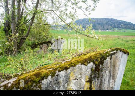 Ehemalige Panzersperre, aufgewertet zu einem Naturschutzgebiet und Grünkorridor Stock Photo