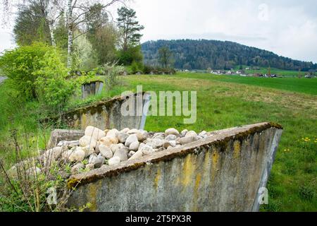 Ehemalige Panzersperre, aufgewertet zu einem Naturschutzgebiet und Grünkorridor Stock Photo