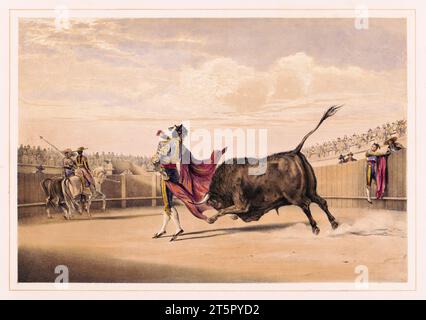 Old illustration showing matador in the arena. By unidentified author, publ. ca 1865 Stock Photo