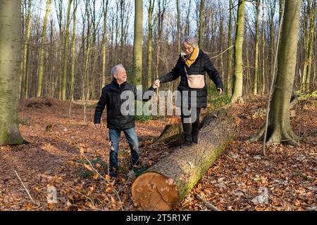 Active senior couple in autumnal forest, senior lady balancing on a tree trunk and smiling; concept: pro-aging, healthy aging Stock Photo
