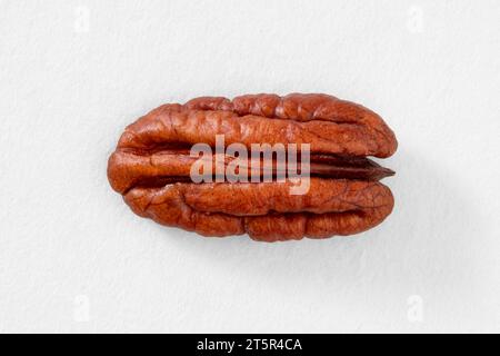 Shelled pecan without shell on white background Stock Photo