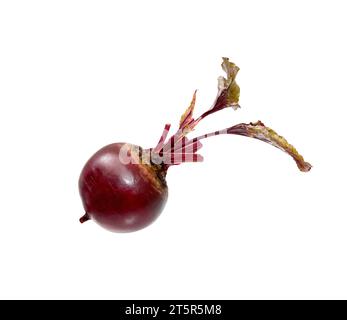 Beetroot with leaves, fresh whole beet isolated on white background. Raw red beetroot. Stock Photo