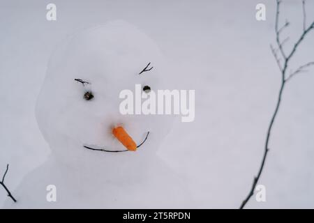 Smiling snowman with button eyes and a carrot nose stands on the snow Stock Photo