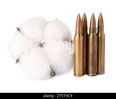 Bullets and beautiful cotton flower isolated on white Stock Photo