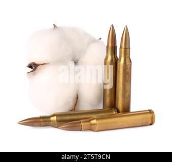 Bullets and beautiful cotton flower isolated on white Stock Photo