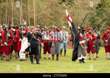 Opposing flag bearer ensigns at the end of the reenactment of the Siege of Basing House, English civil war, 16.09.23 Basingstoke Stock Photo