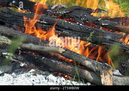 View of the burning campfire in the camp. Campfire in the green grass Stock Photo