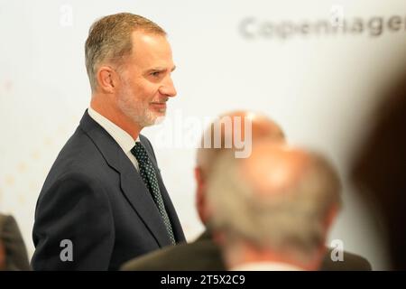 Copenhagen, Denmark. 07th Nov, 2023. Danish Crown Prince Frederik and King Felipe of Spain attends a business summit in Copenhagen Tuesday November 7, 2023. The summit focuses on green transition, power-to-x and energy infrastructure. King Felipe and Queens Letizia are on a three-day state visit to Denmark. Credit: Ritzau/Alamy Live News Stock Photo