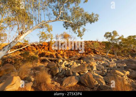 Golden Light at sunrise at Wanna Munna, an Aboriginal site in the Pilbara, Western Australia, Australia Stock Photo