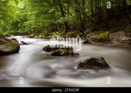 The Schwarza River in Thuringia Stock Photo - Alamy