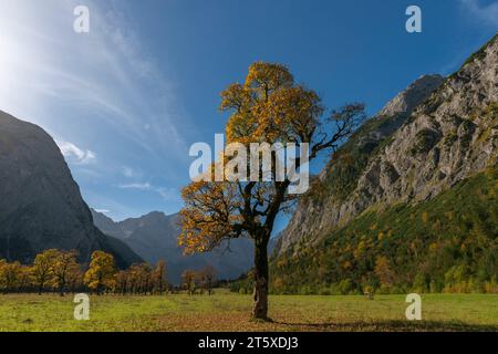 A touristic highlight, colorful autumn season in Engtal or Eng  Valley, Nature Park Karwendel, Tyrol, Austria, Europe Stock Photo