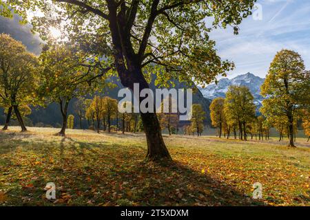 A touristic highlight, colorful autumn season in Engtal or Eng  Valley, Nature Park Karwendel, Tyrol, Austria, Europe Stock Photo