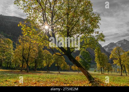 A touristic highlight, colorful autumn season in Engtal or Eng  Valley, Nature Park Karwendel, Tyrol, Austria, Europe Stock Photo